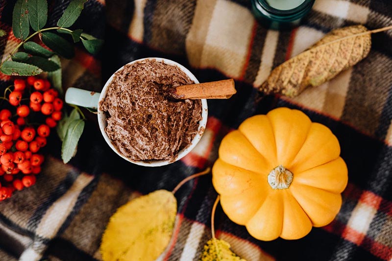 Pumpkin Smoothies to make in your Suffolk Apartment